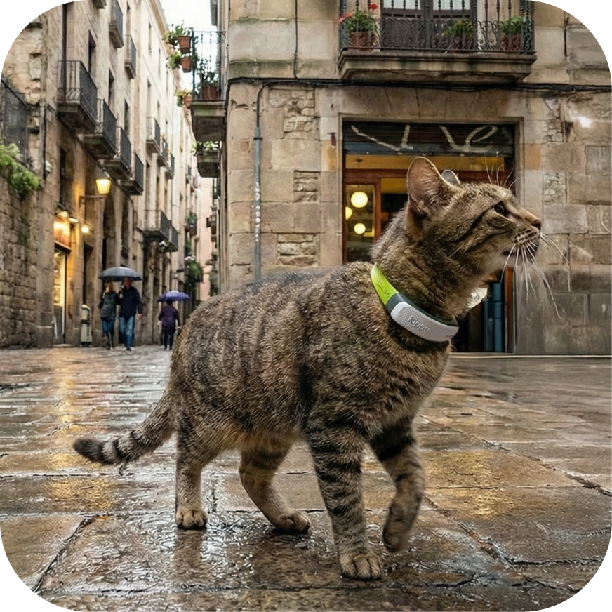 Kippy CAT GPS Tracker