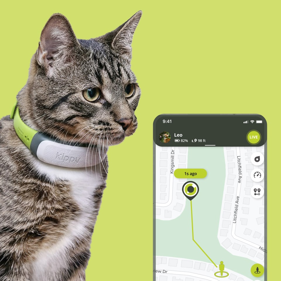 Kippy CAT GPS Tracker
