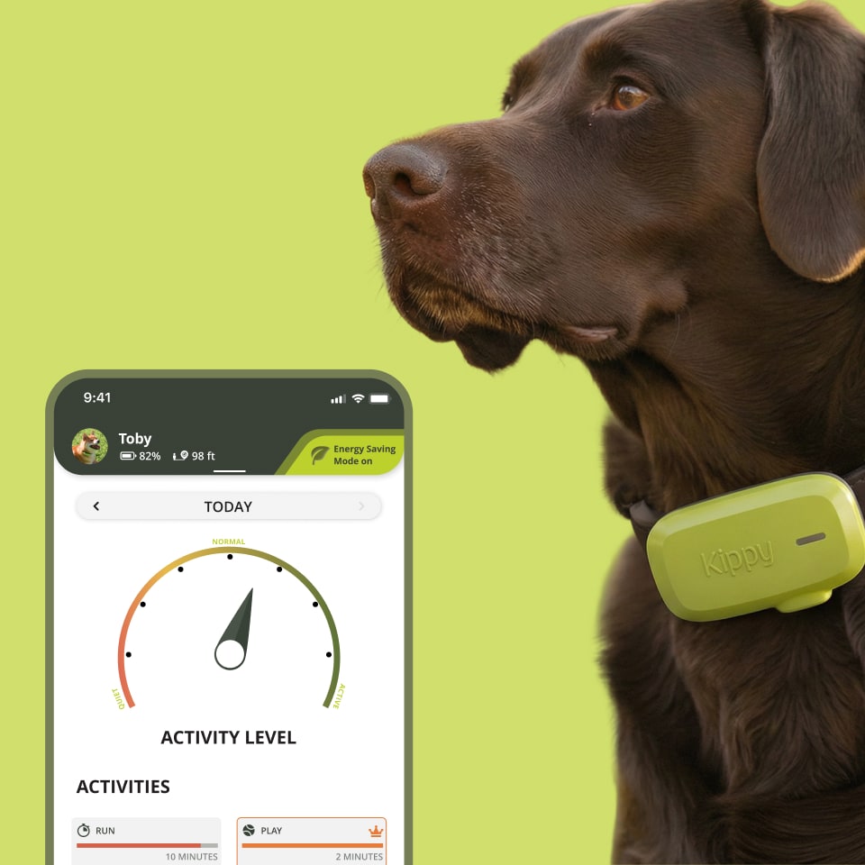 Kippy Dog GPS Tracker