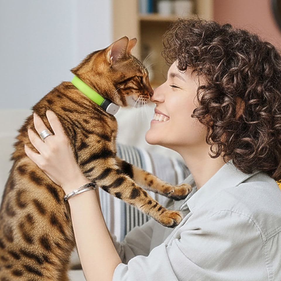 Kippy CAT GPS-Tracker