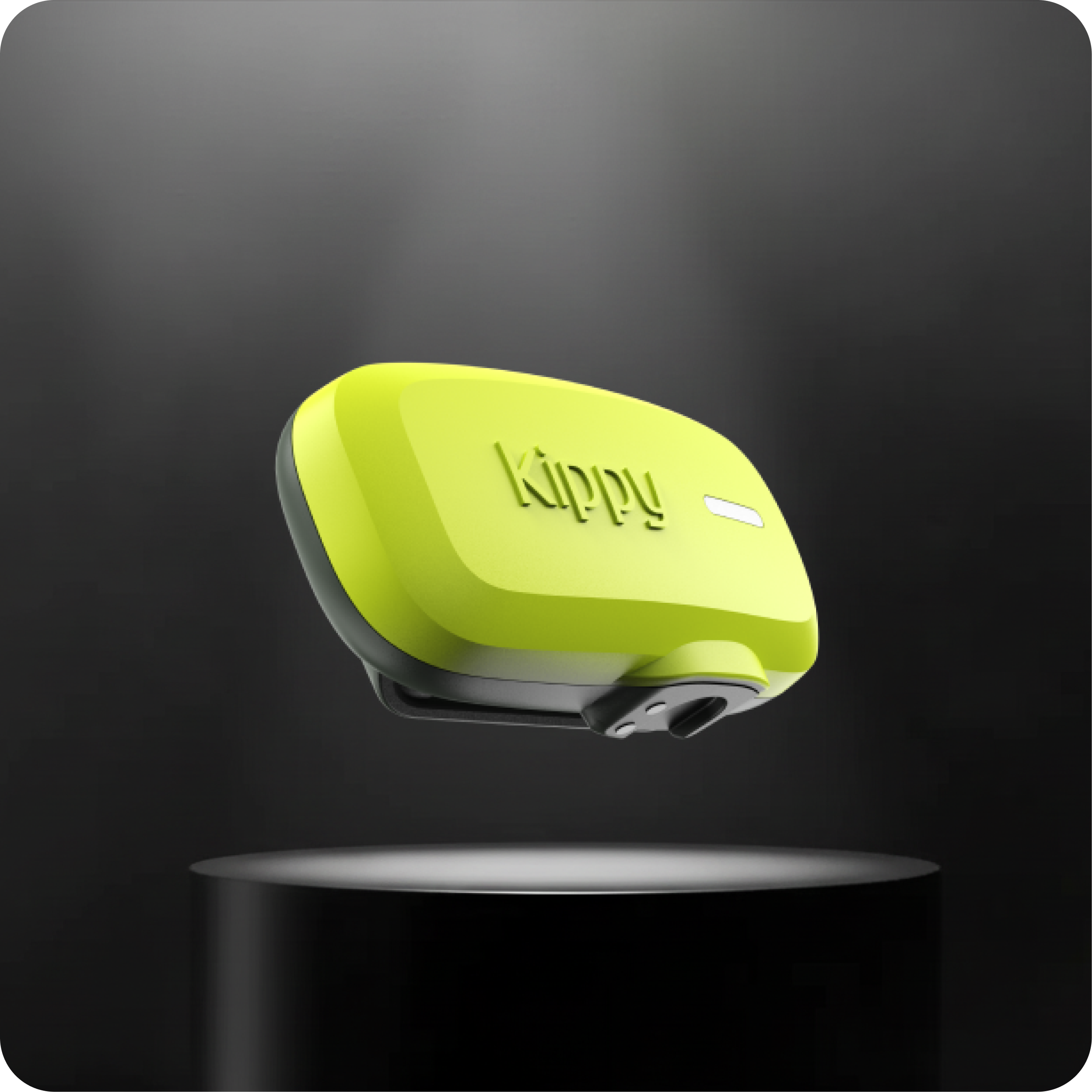 Kippy Dog GPS Tracker