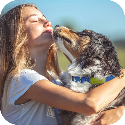 Kippy Dog GPS Tracker